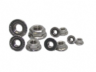 Hex Flange Nut